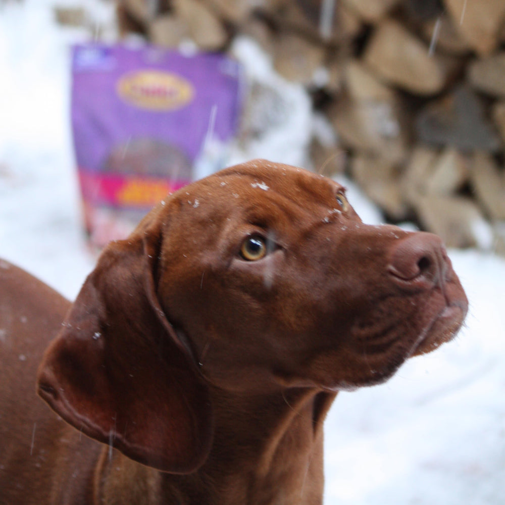Cadet pechuga de pato jerky, aroma suave que estimula el apetito canino.