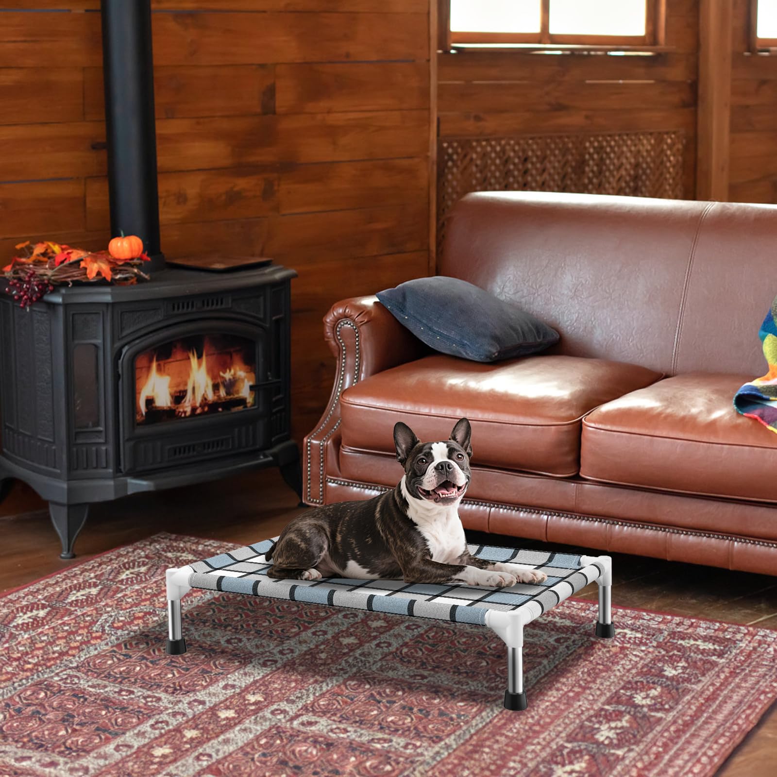 Caghash cama perro elevada, apta para uso interior y exterior.