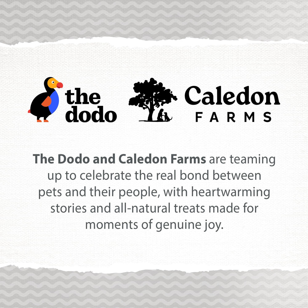 Caledon Farms The Dodo: empresa familiar dedicada a golosinas para perros.
