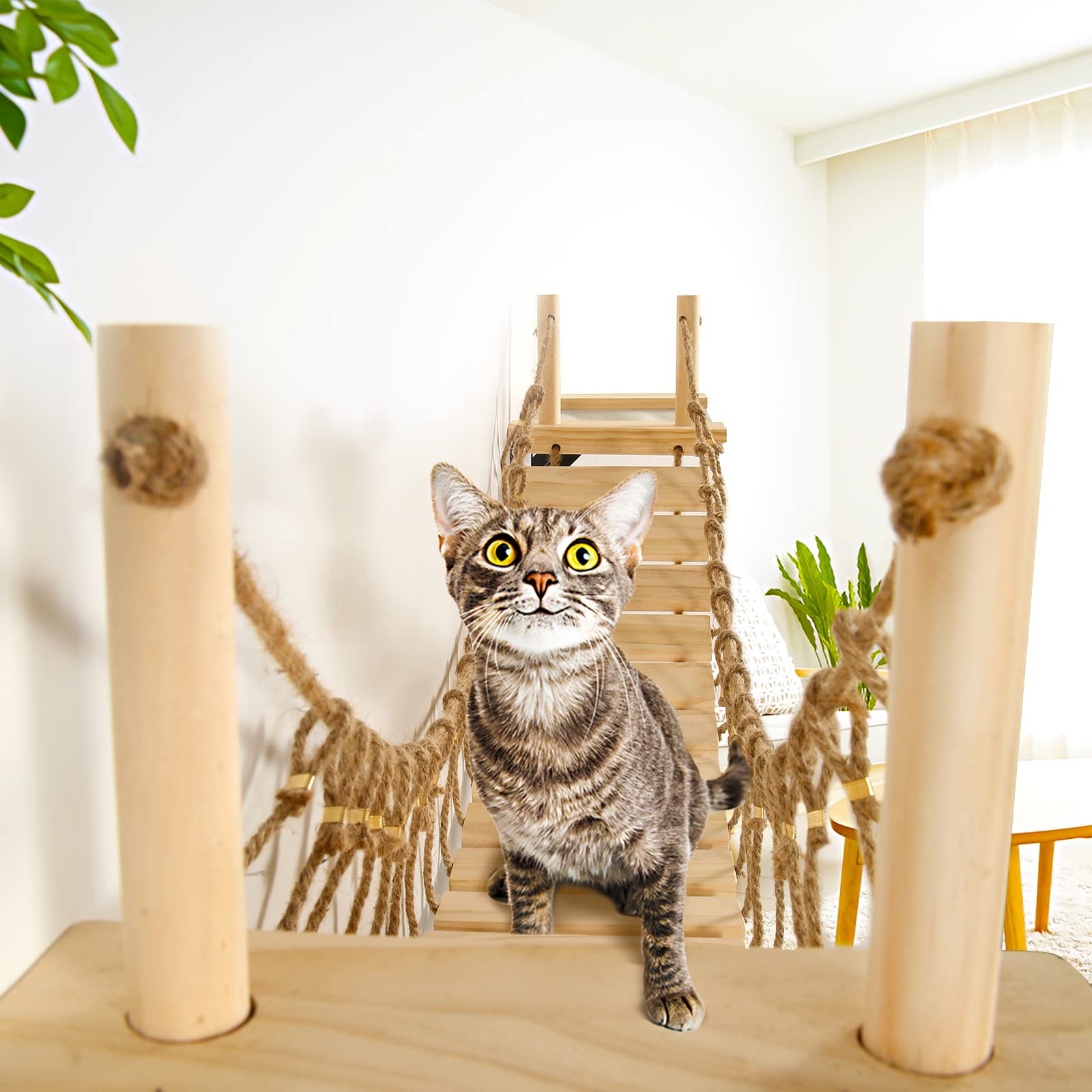 Calmbee espacio de juego para gatos, fomenta actividad física y curiosidad.