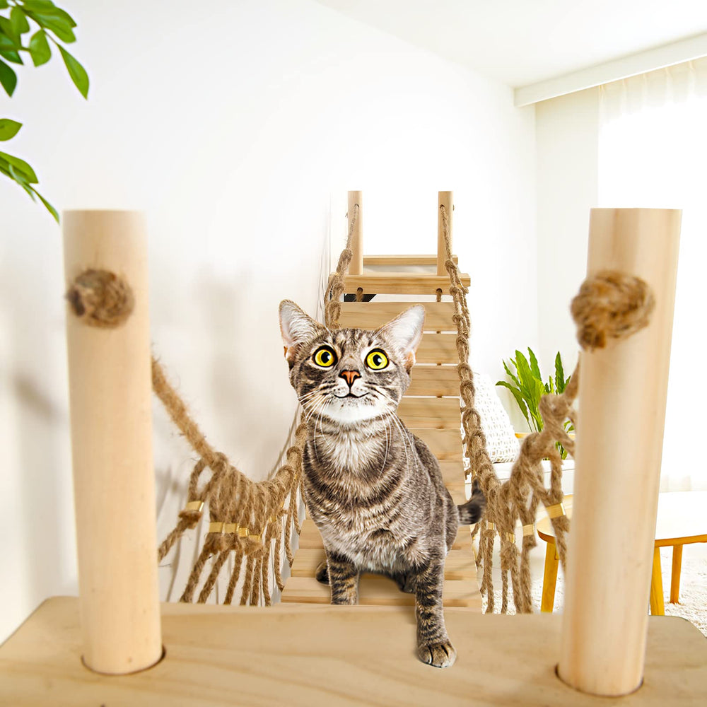 Calmbee espacio de juego para gatos, fomenta actividad física y curiosidad.