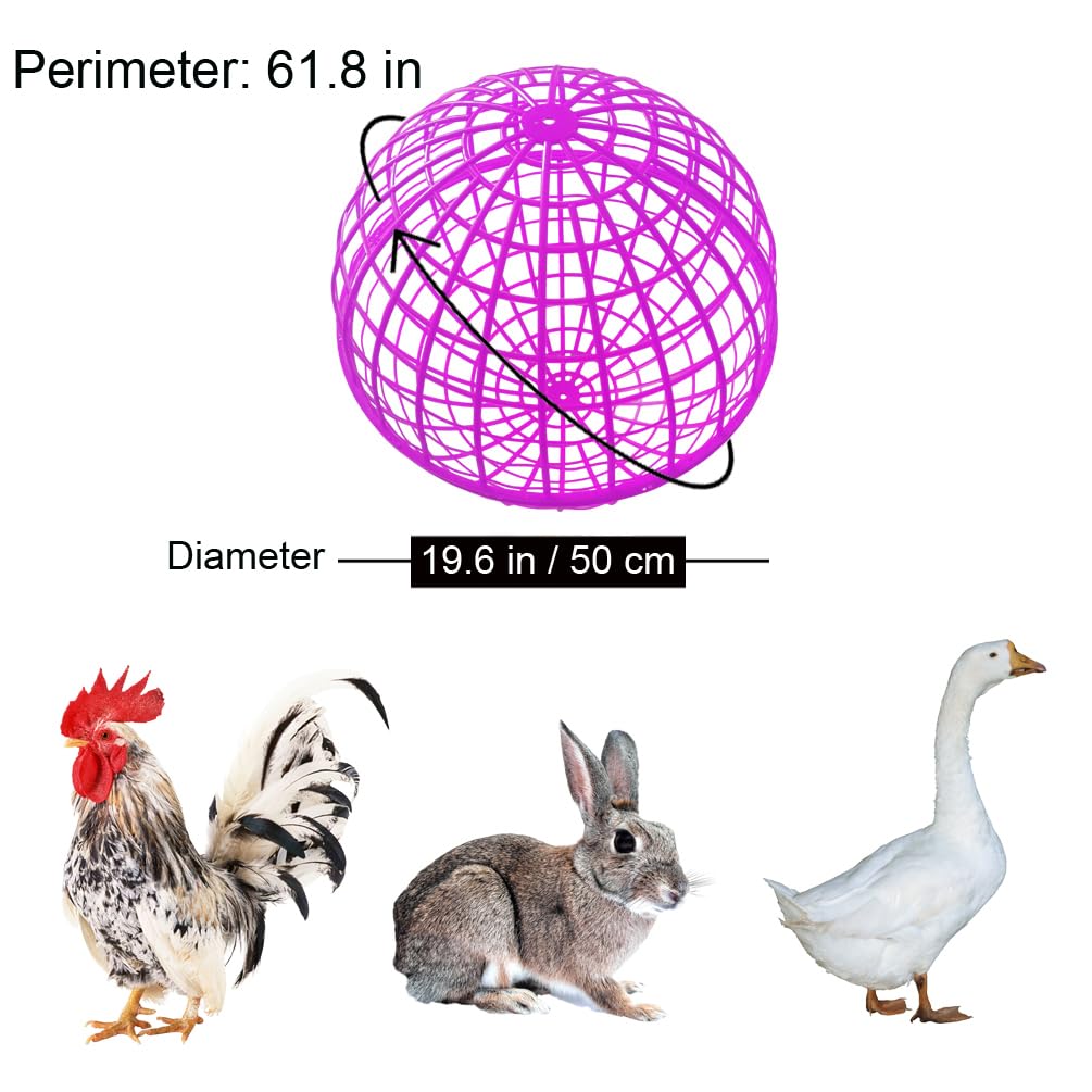 CalorMixs jaula esfera para gallinas; protección y libertad controlada en corral.