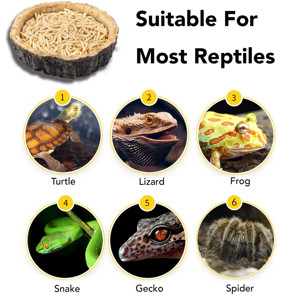 CalPalmy tamano ideal para reptiles pequenos, comodo para comer