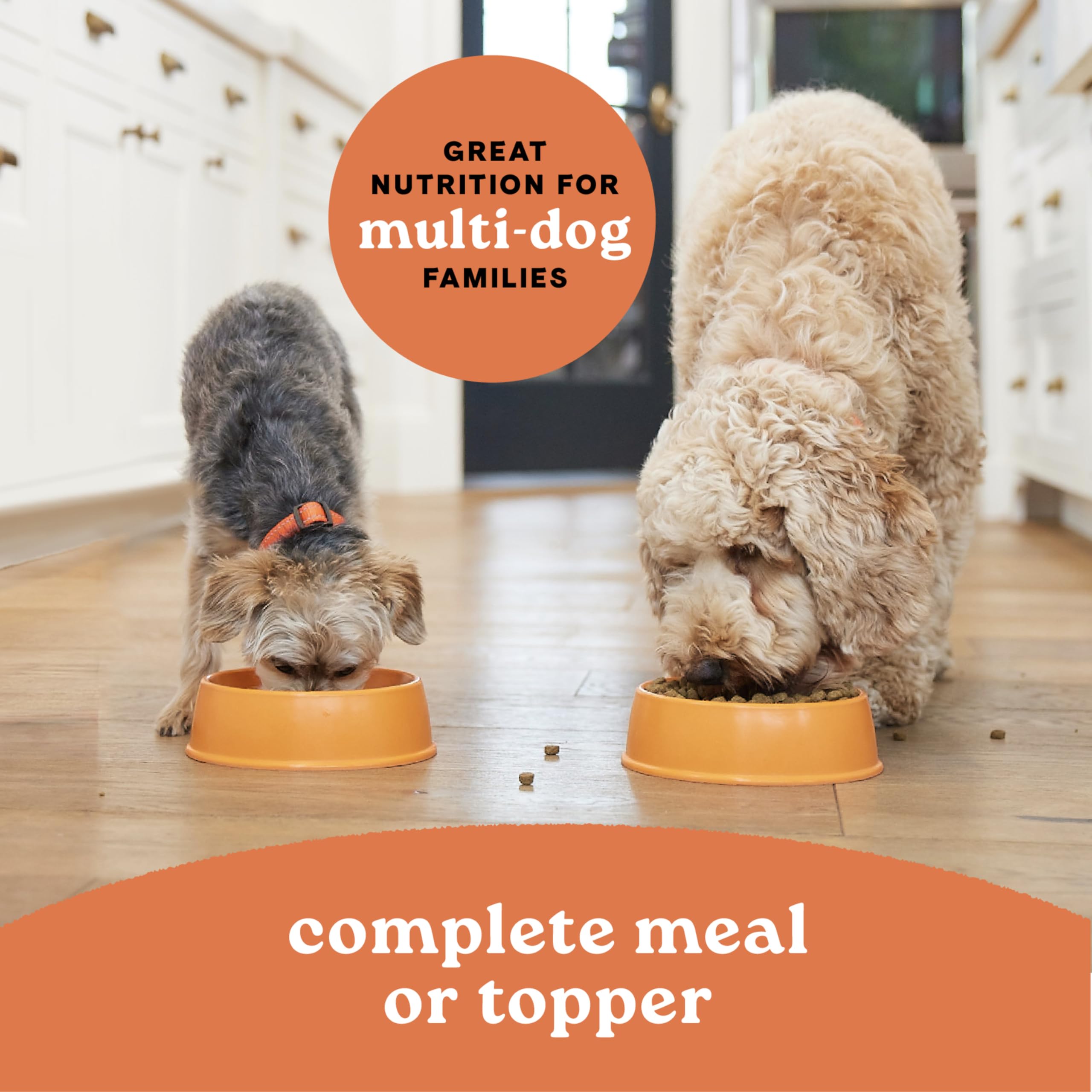 CANIDAE para Todas las Edades: ideal para hogares con varias mascotas.