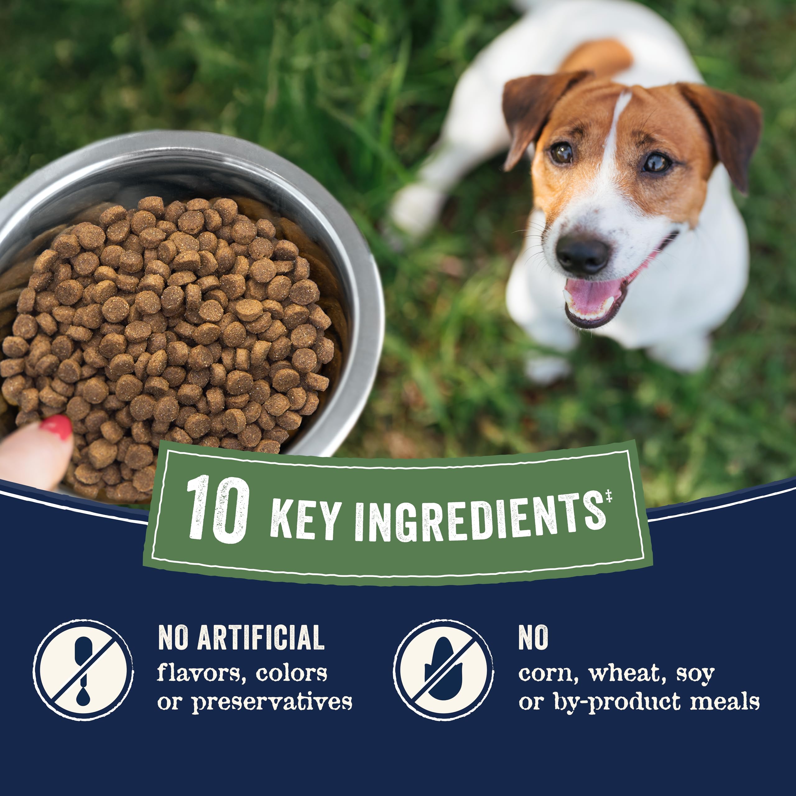 CANIDAE proteína principal de pollo de granja, nutrición equilibrada para perros pequeños