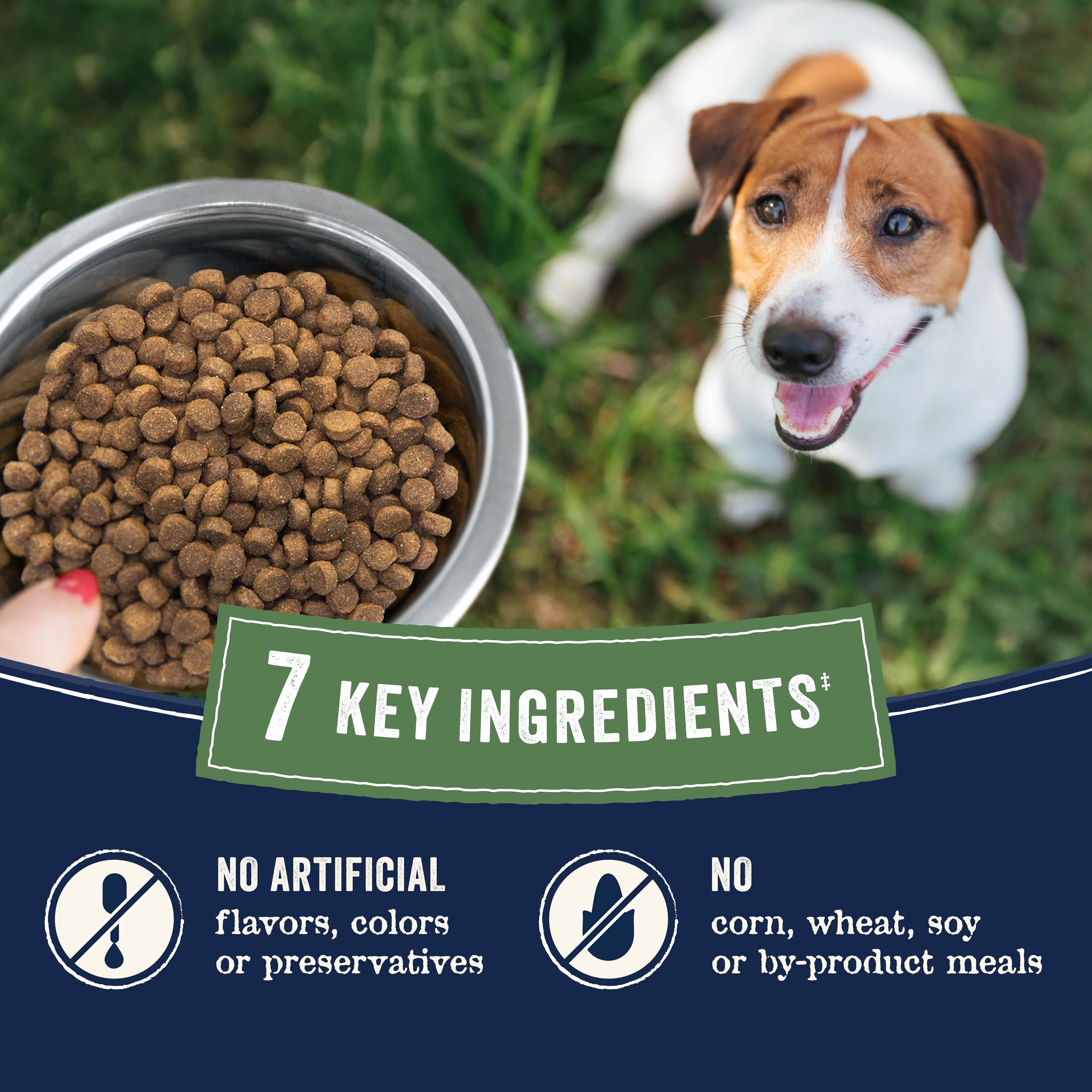 CANIDAE Pure Farm to Bowl ingredientes regenerativos: apoyo a ecosistemas agrícolas.
