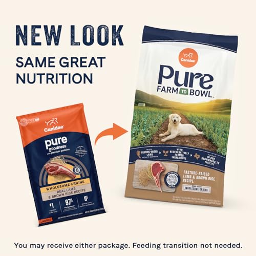 Canidae arroz-integral aporta energía sostenida para perros adultos