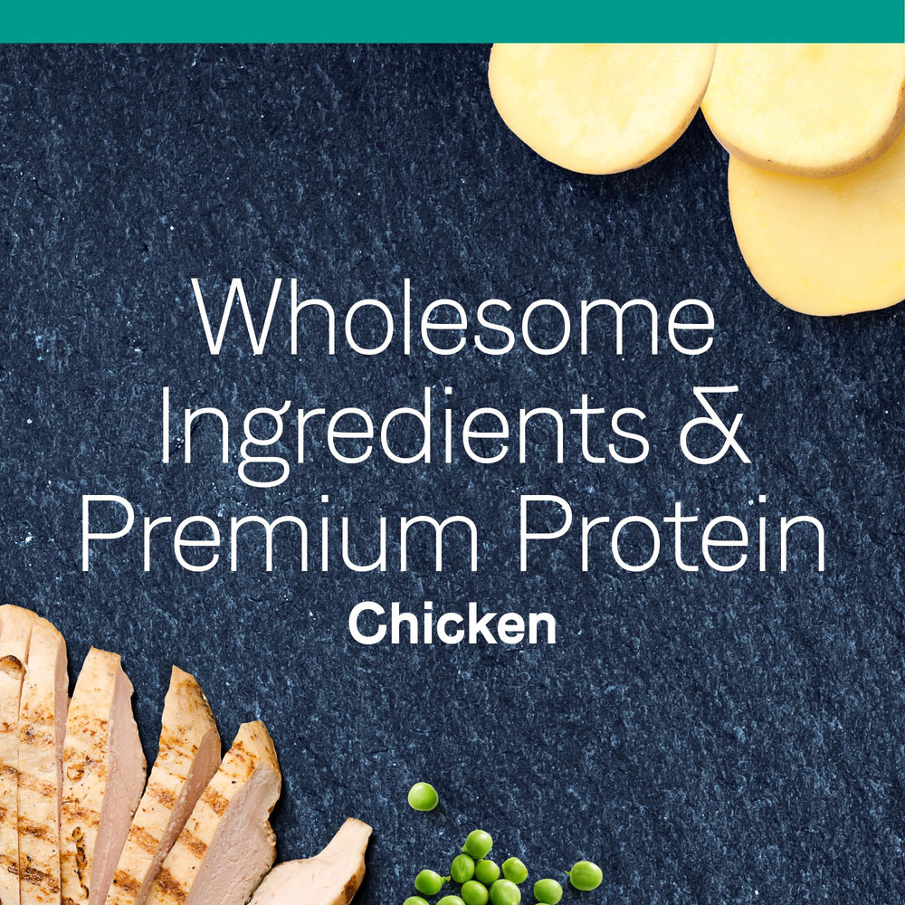 Canidae Probioticos y antioxidantes, apoyo digestivo e inmunitario.
