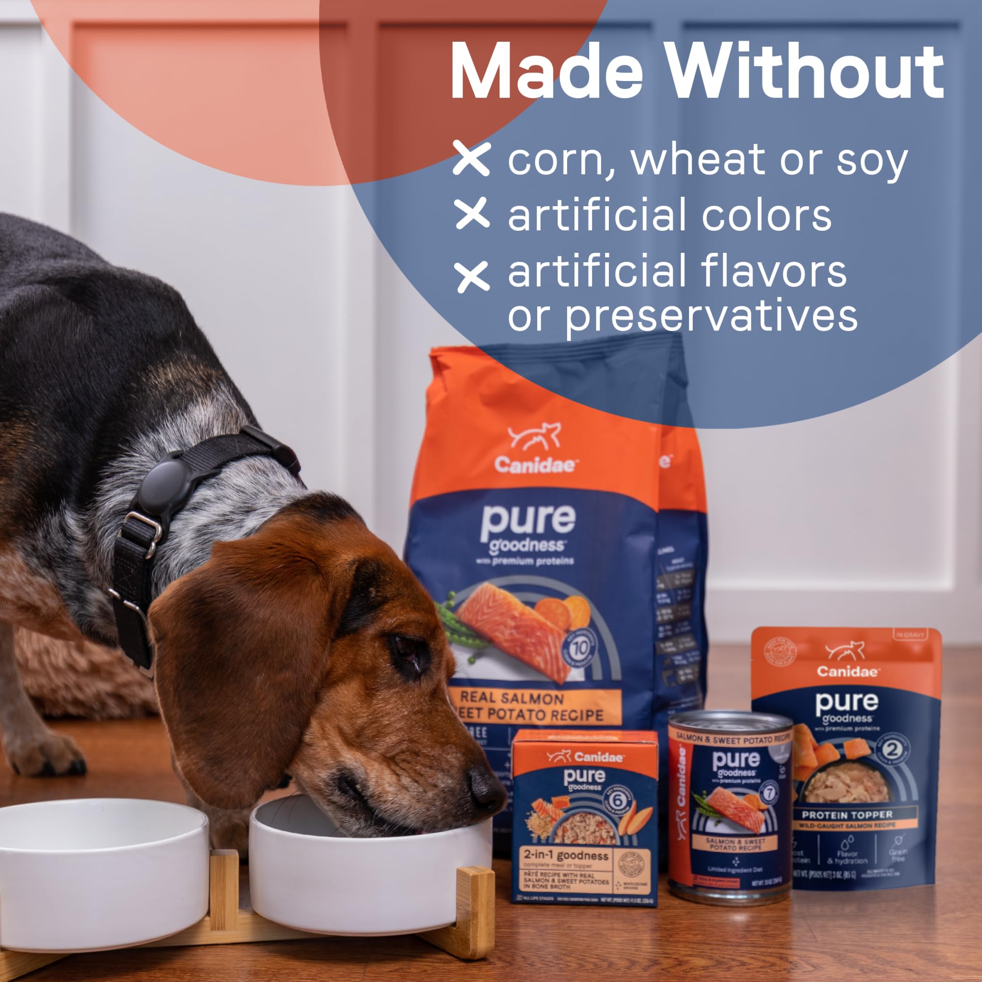 Canidae Pure Protein Toppers para sensibilidades: opción sabrosa sin alérgenos comunes.
