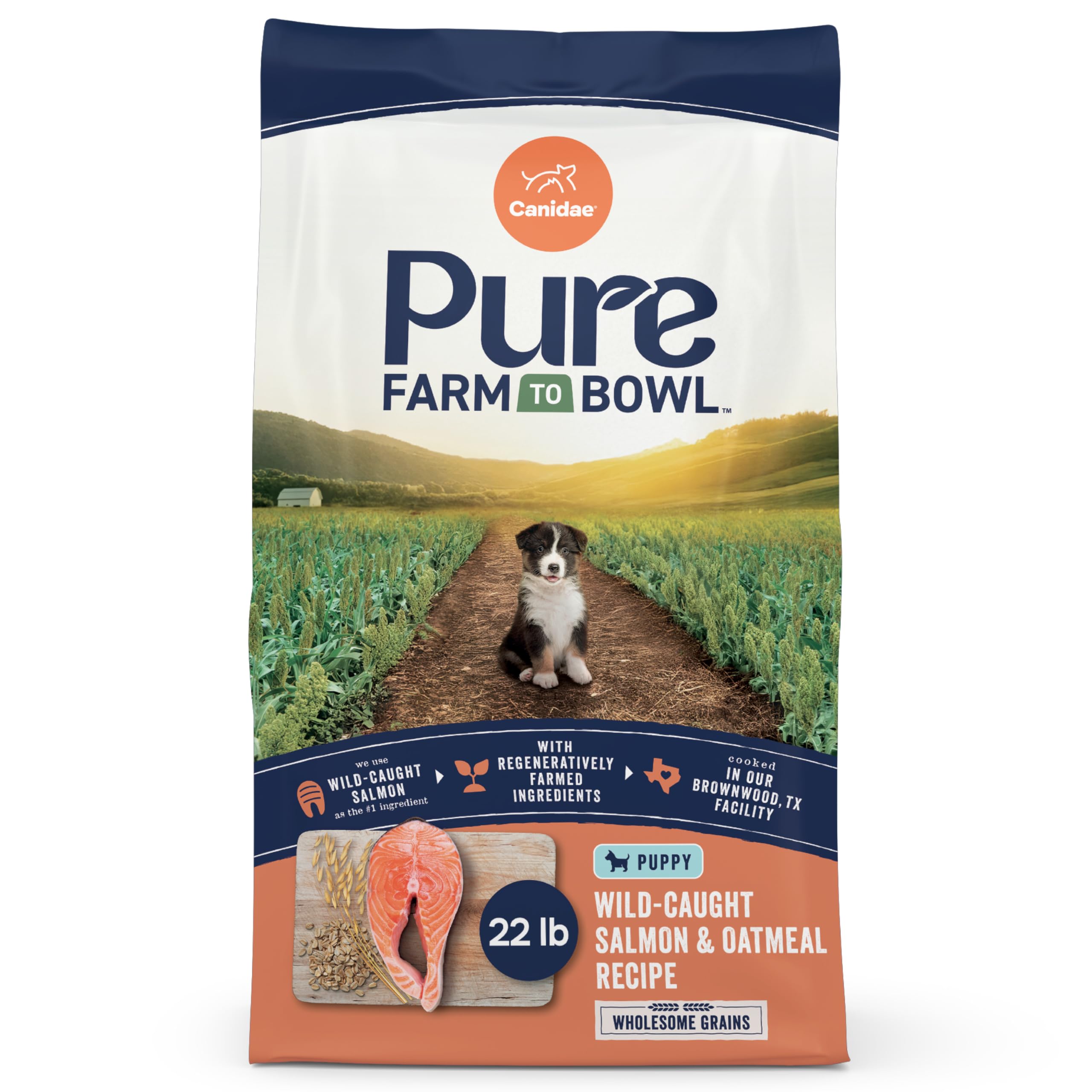 CANIDAE Pure con salmón y avena, ingredientes reales para cachorros activos.