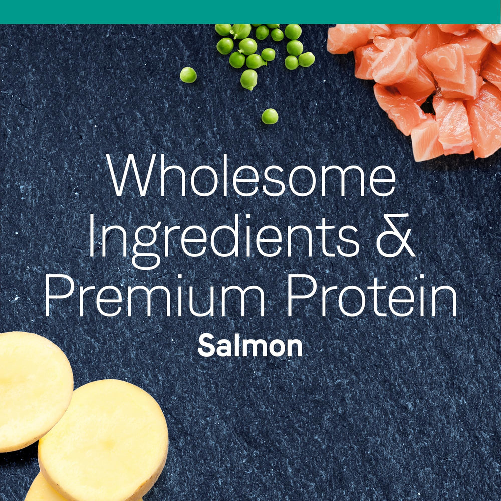 CANIDAE Pure Salmon Recipe: probióticos y antioxidantes para apoyo digestivo