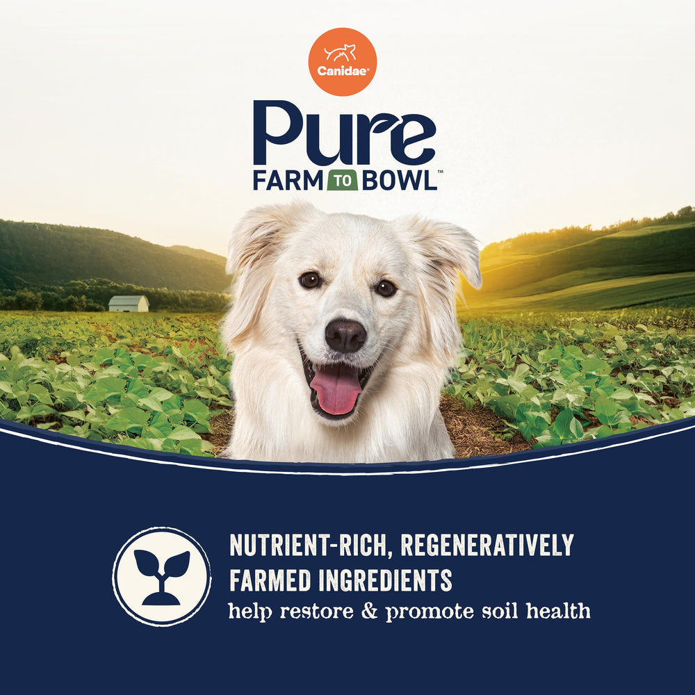 Canidae Pure sin sabores artificiales ni conservantes para dieta limpia