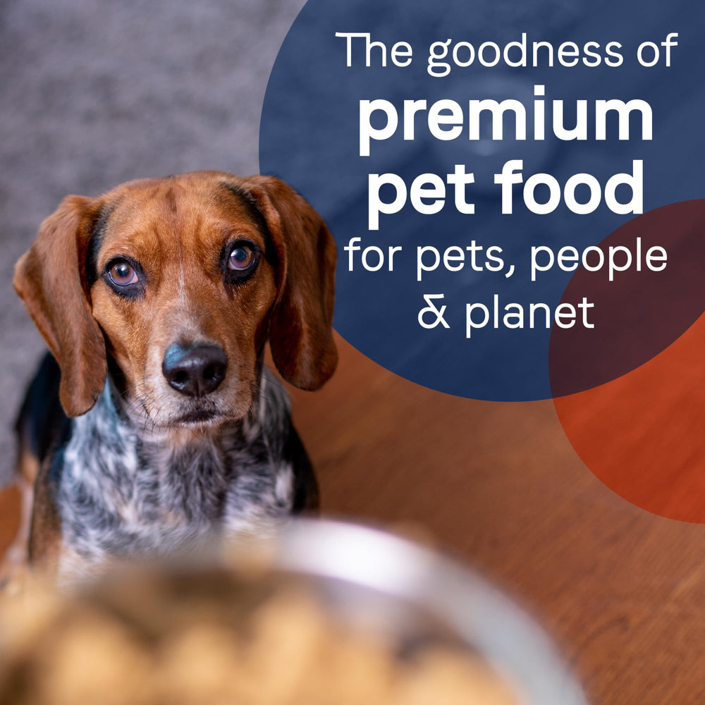 CANIDAE PURE envase sostenible: empaque responsable.