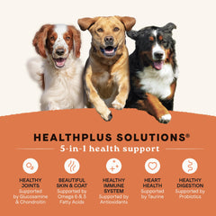 CANIDAE soluciones de probióticos, vitaminas y minerales para el bienestar general.