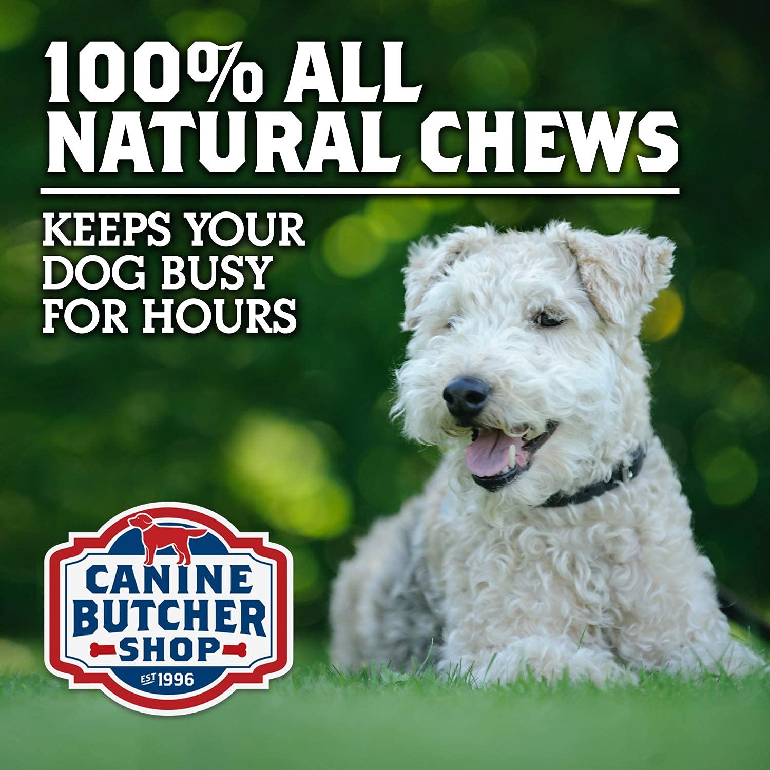 Canine Butcher Shop: orejas cocidas a fuego lento para masticación controlada.