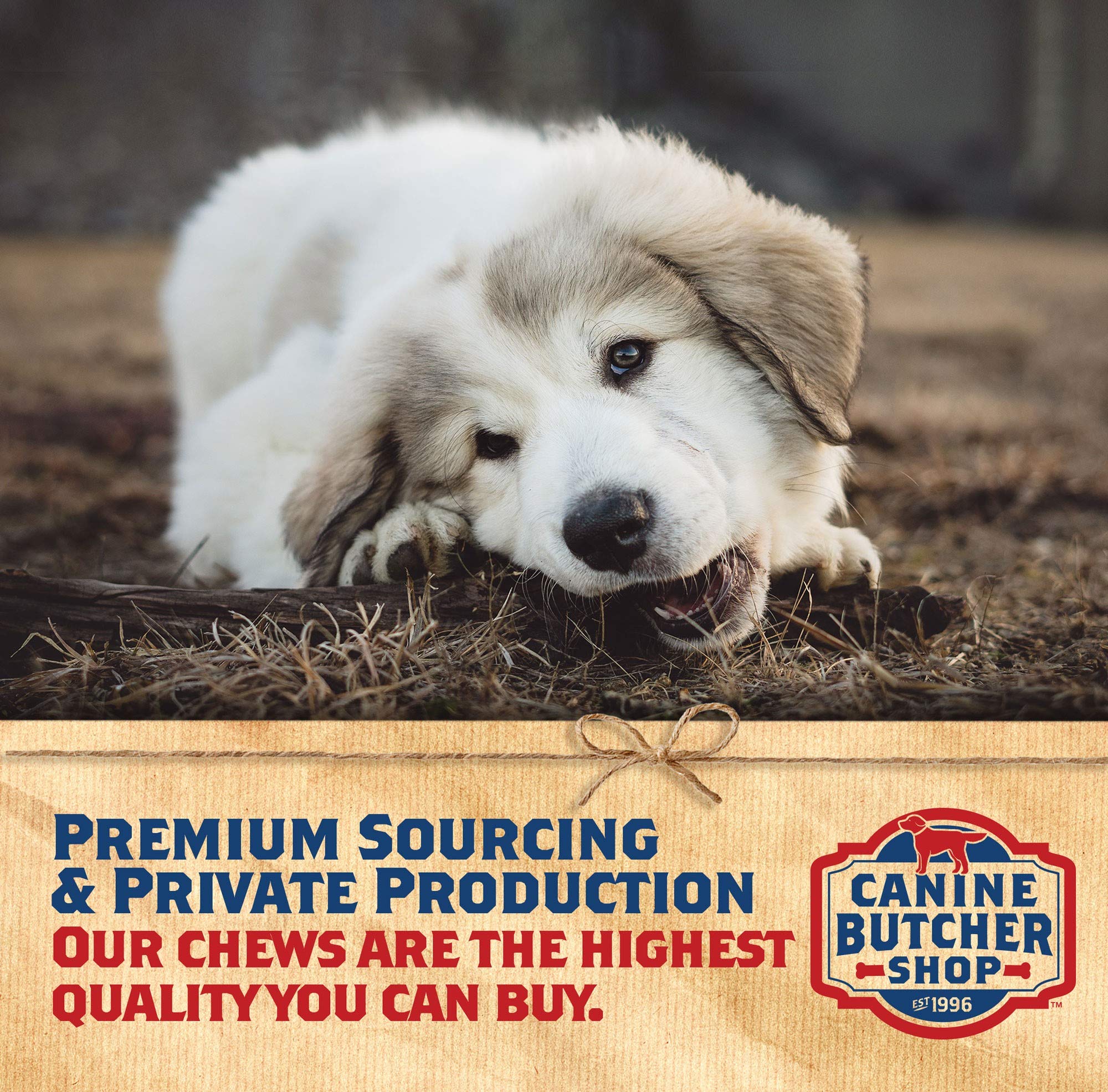 Canine Butcher Shop: orejas sin colorantes para una opción natural sin aditivos.