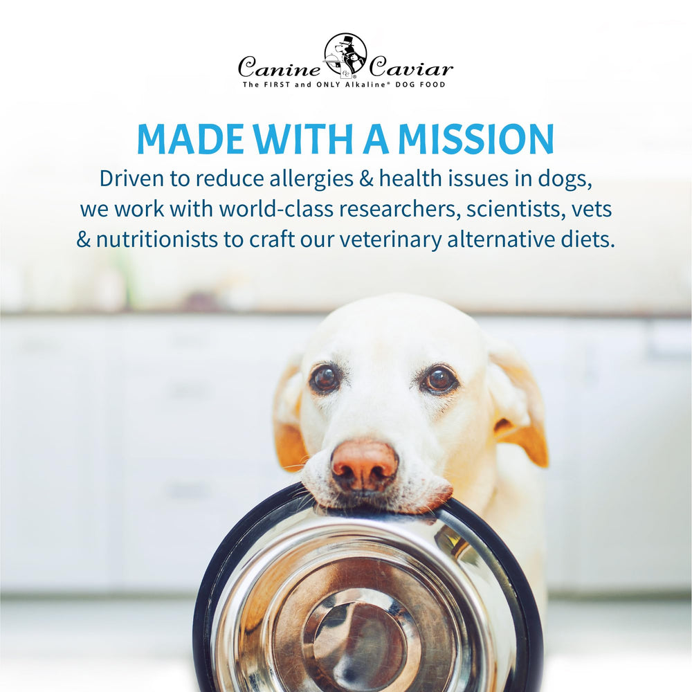 Canine Caviar Free Spirit uso diario, apto para todas las etapas de vida.