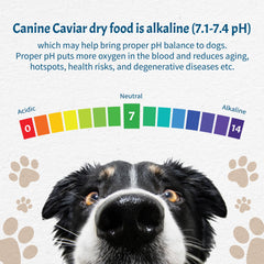 Canine Caviar Free Spirit con balance Omega-3:6 para piel y pelaje saludables.