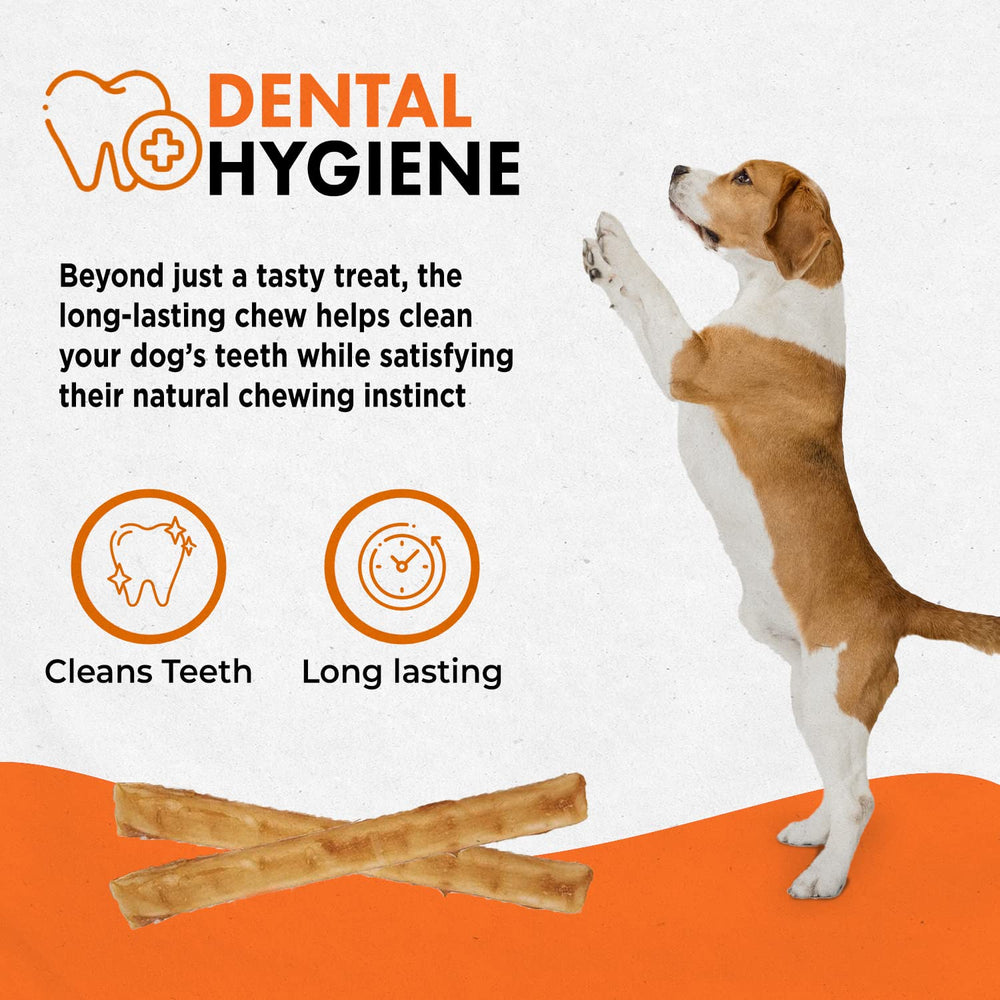 Receta sin gluten de Canine Naturals Chicken Recipe Chew para mascotas.