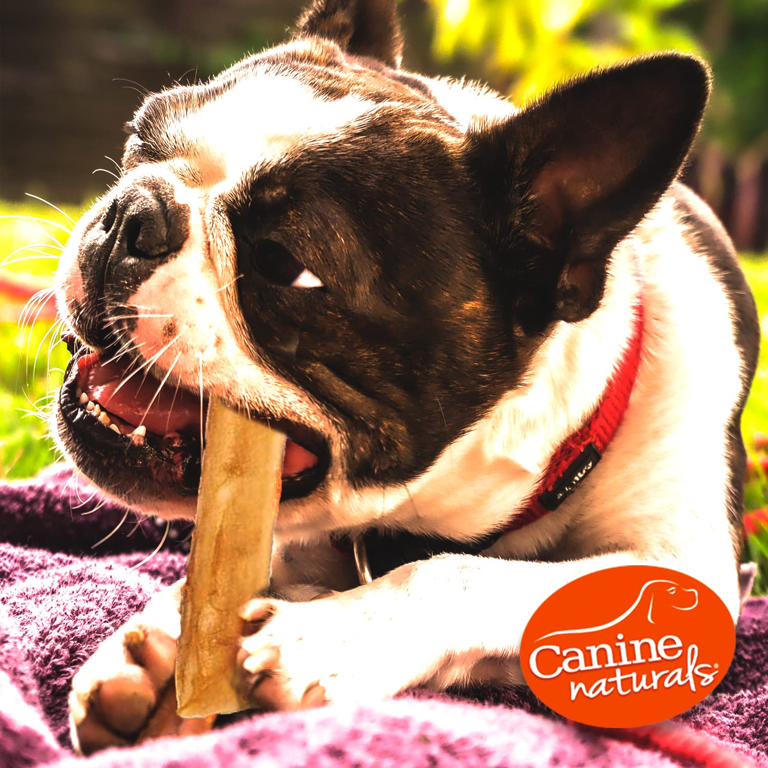 Canine Naturals ingredientes limitados para una opción simple y sabrosa
