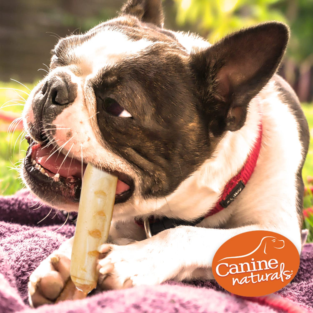 Canine Naturals: receta natural y sin gluten para perros