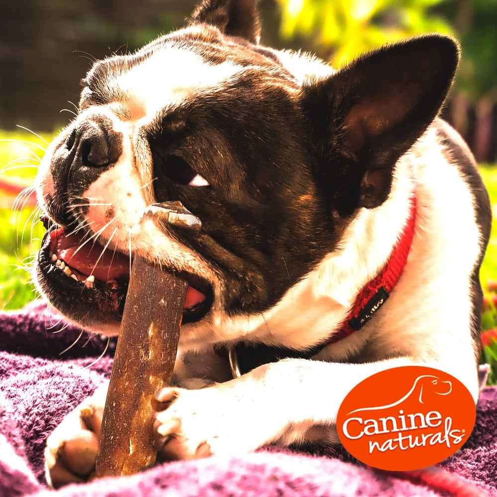 Canine Naturals paquete de seis rollos mini para perros pequeños