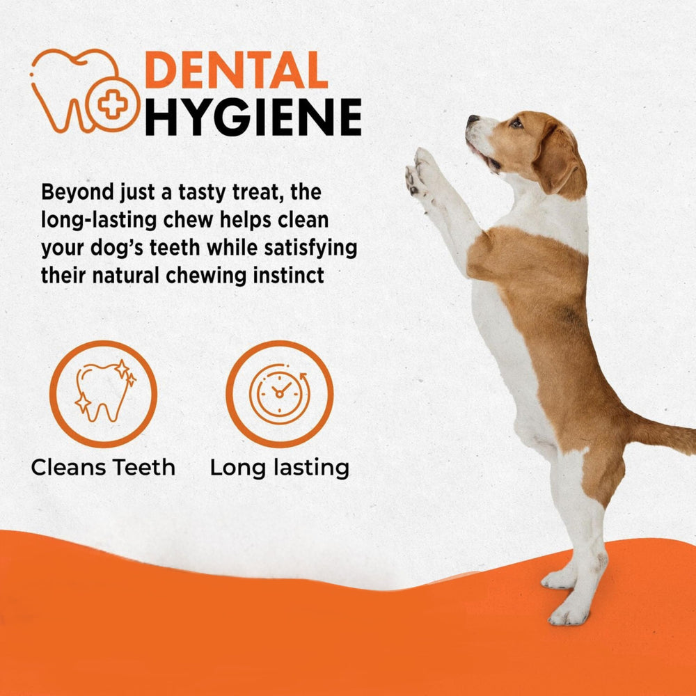 Perro disfruta Canine Naturals, masticable sabroso y duradero para sesiones de juego