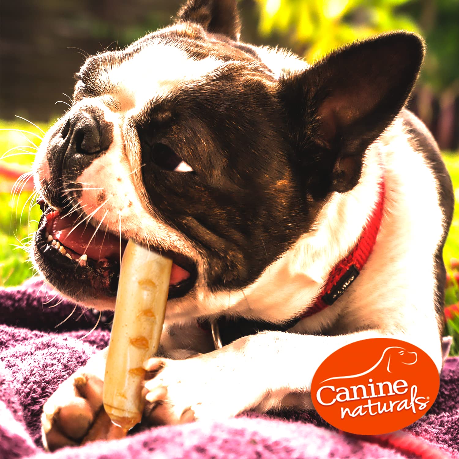 Canine Naturals sin-colorantes-artificiales, snack natural sin aditivos para tu perro
