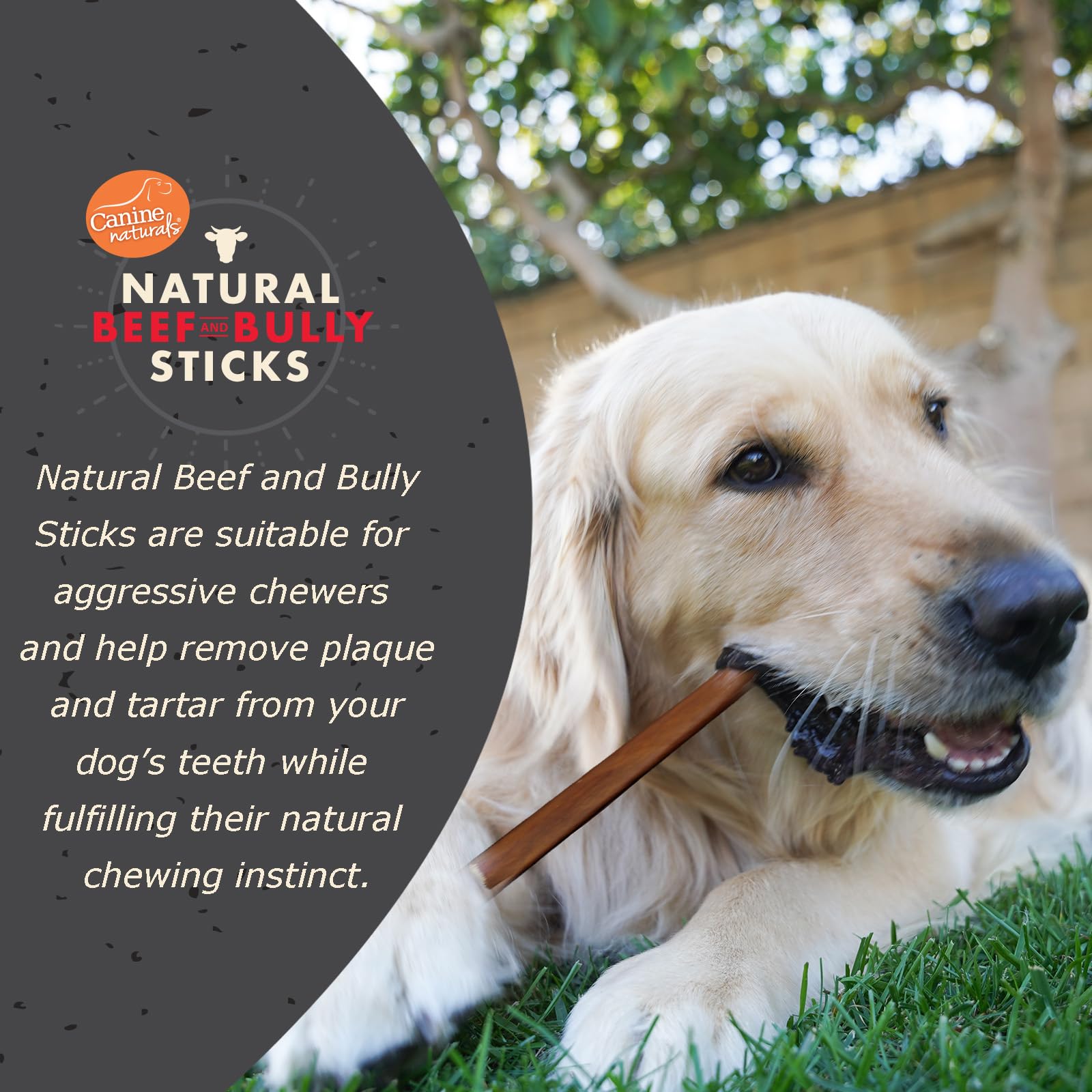 Canine Naturals ternera-mordedor-largo: masticación prolongada ideal para perros grandes.