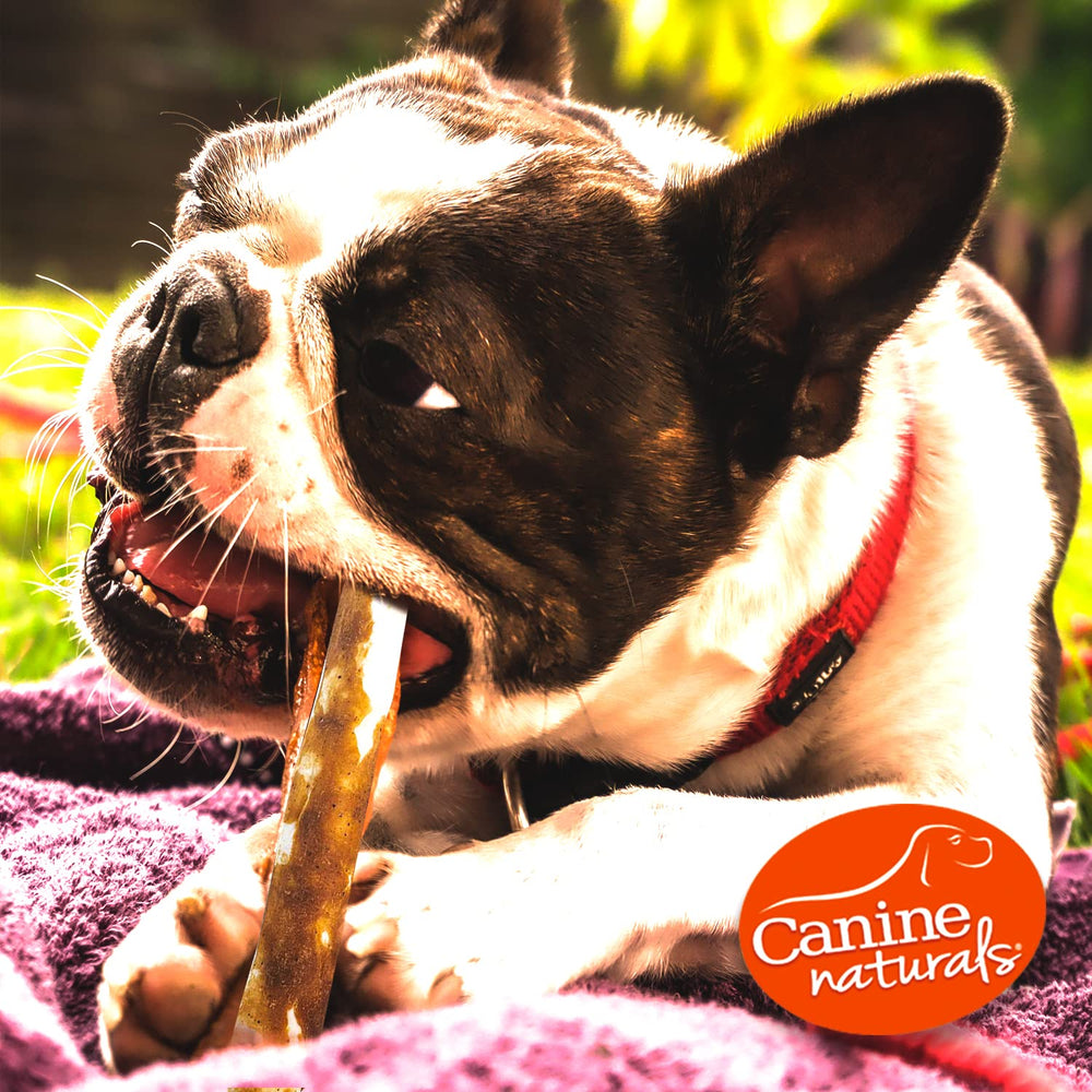 Textura duradera de Canine Naturals para masticación prolongada