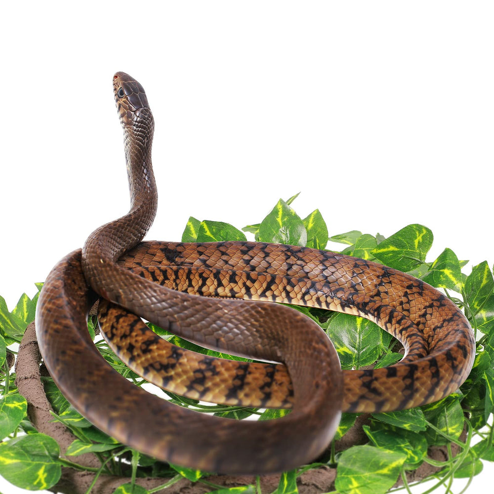 Canlierr lianas de jungla para terrario que envuelven ramas.