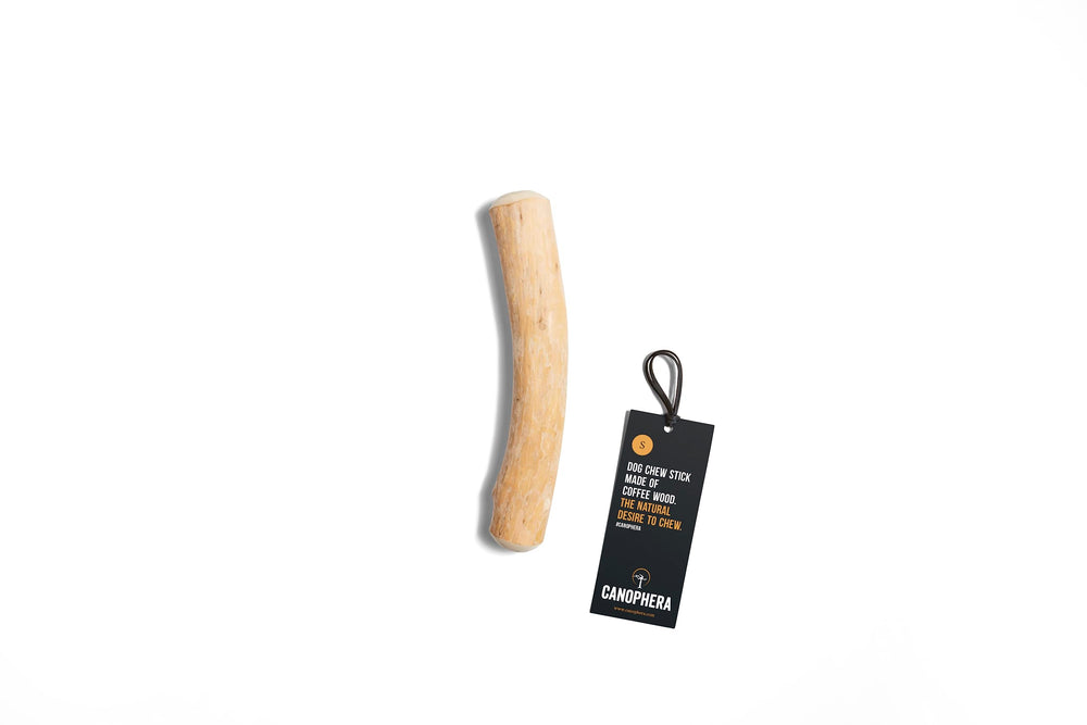 Canophera batonnet-macher-bois-cafe-petit, apaise et stimule le chien.