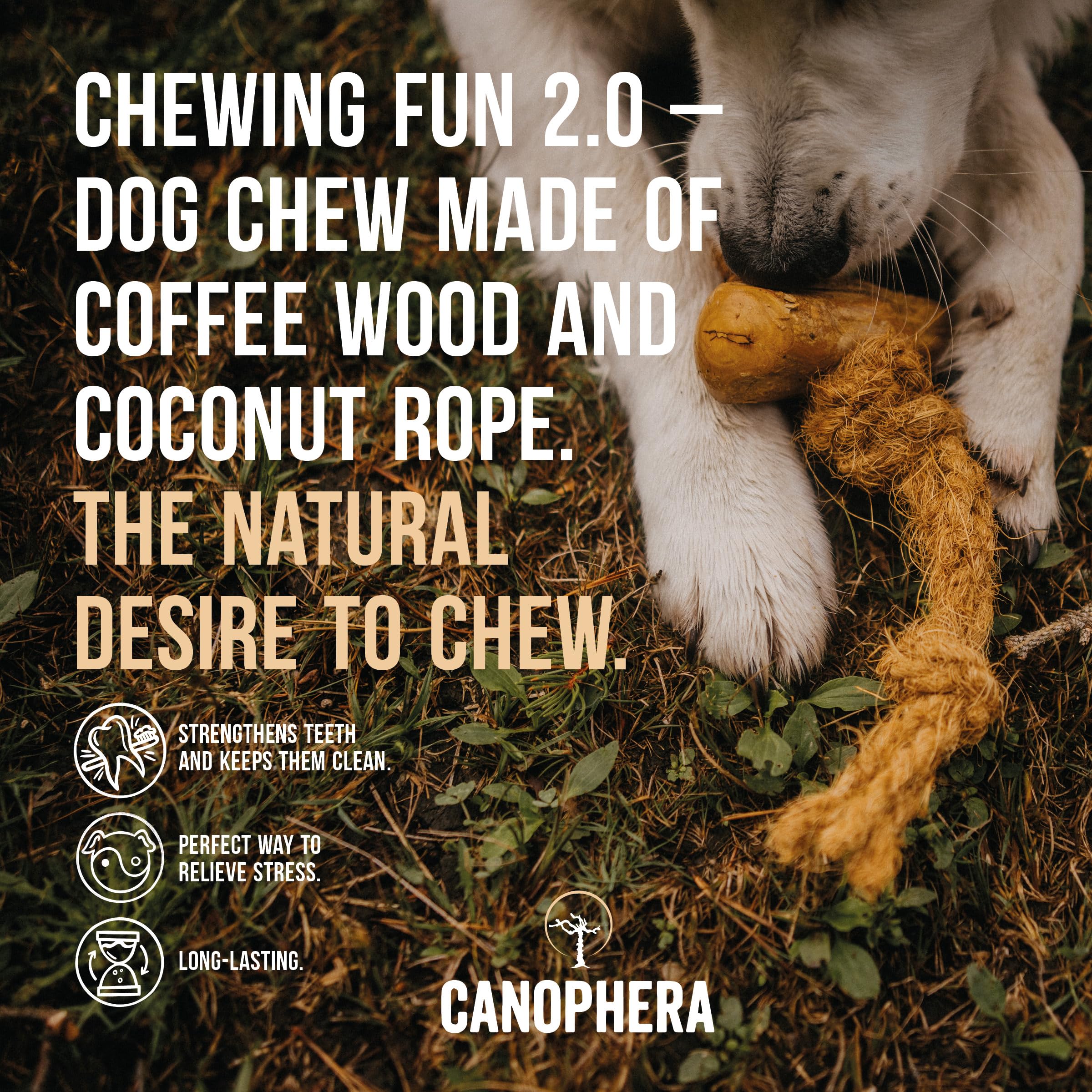Canophera masticable para perros: juego dental natural y estimulación prolongada