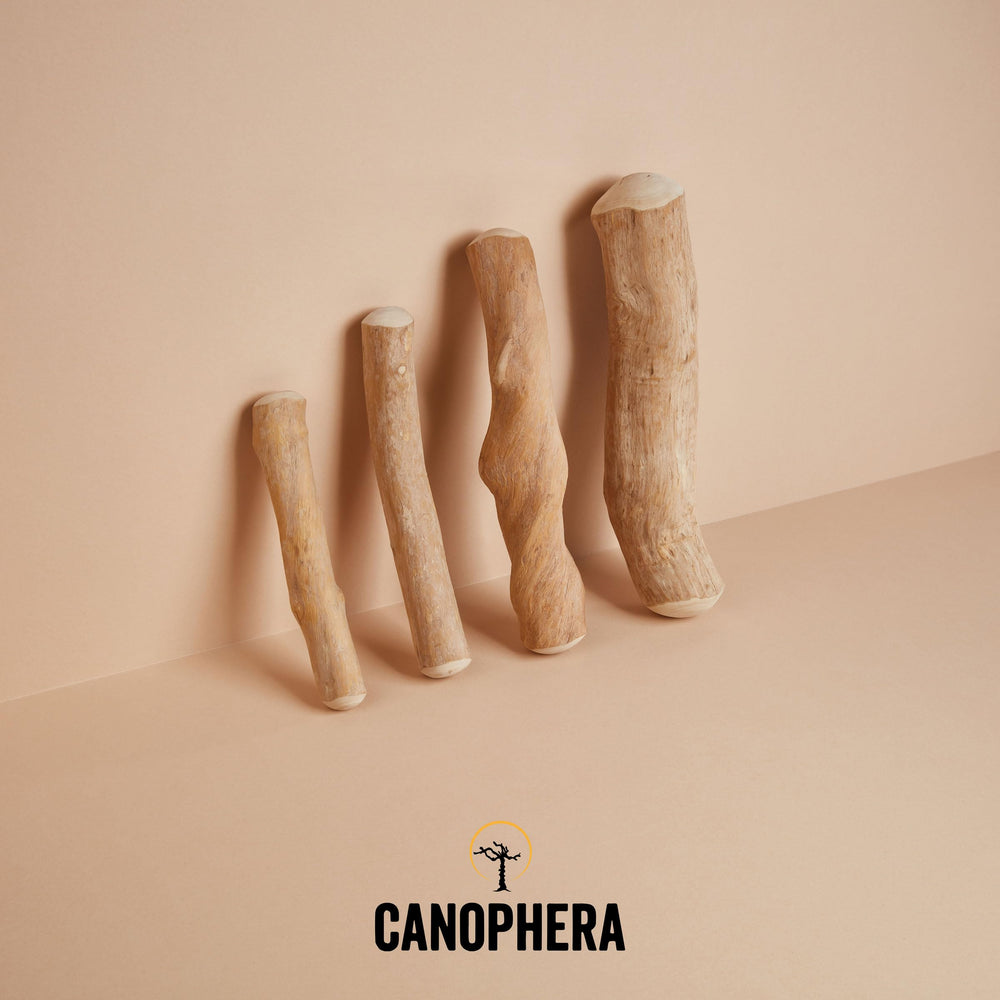 Canophera práctico para guardar y viajar con tu perro.