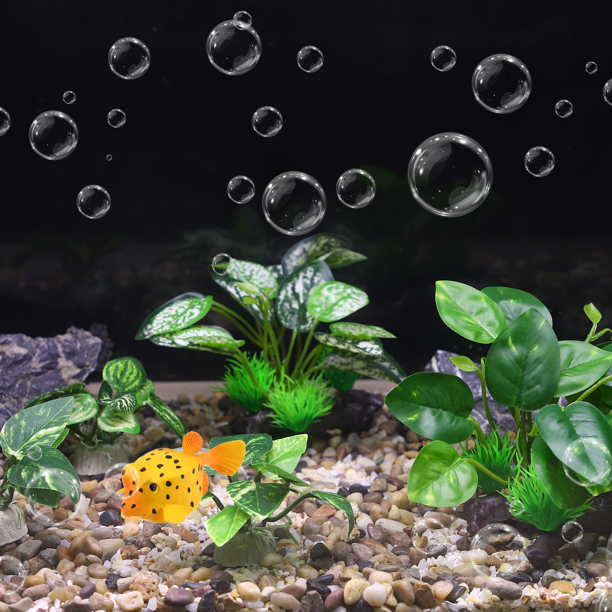 CAPASTEC base estable para decoración de acuario garantiza seguridad.
