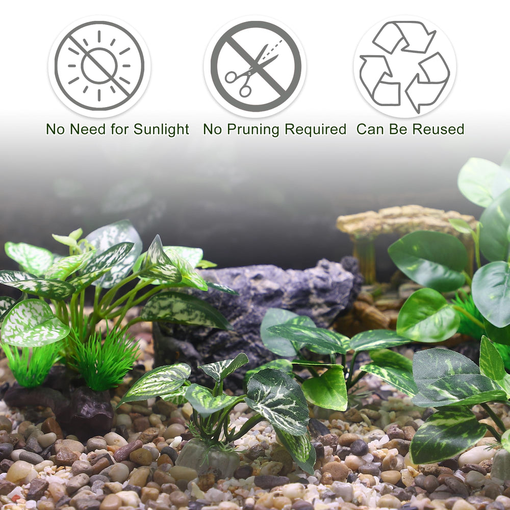 CAPASTEC conjunto de 5 plantas decorativas para acuario.
