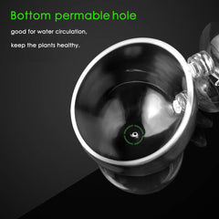 Capetsma dimensiones-2-4-pulgadas tamaño compacto ideal para acuarios pequeños.
