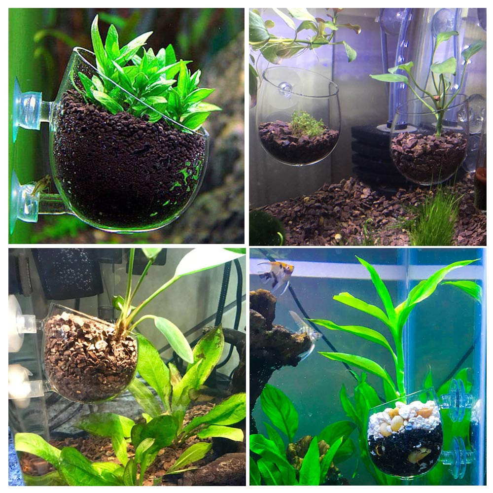 Capetsma doble-sujecion-ventosas mantiene el acuario en posición y orden visual.