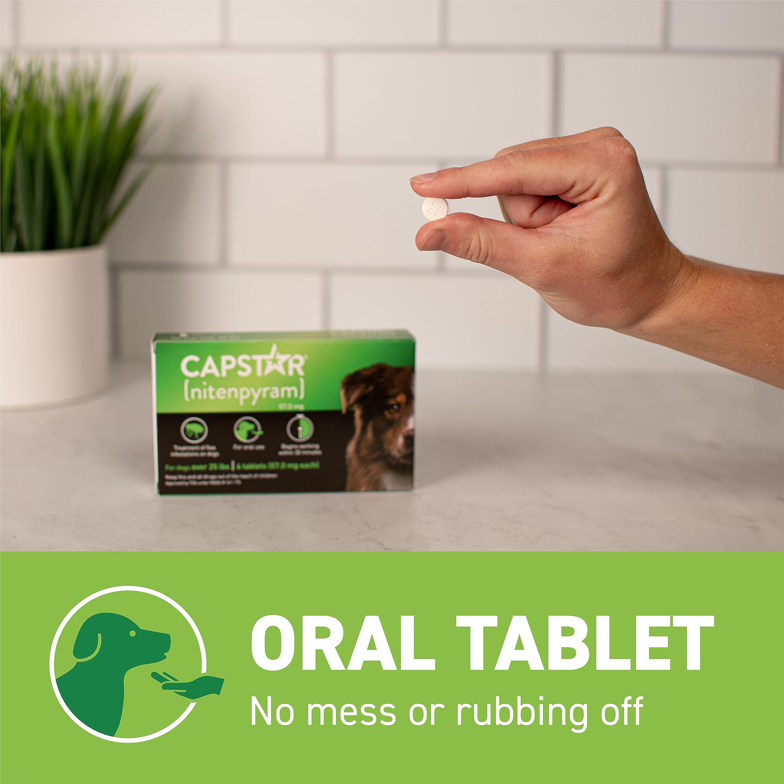 Capstar 57 mg para perros: dosis diaria para reinfestación controlada.
