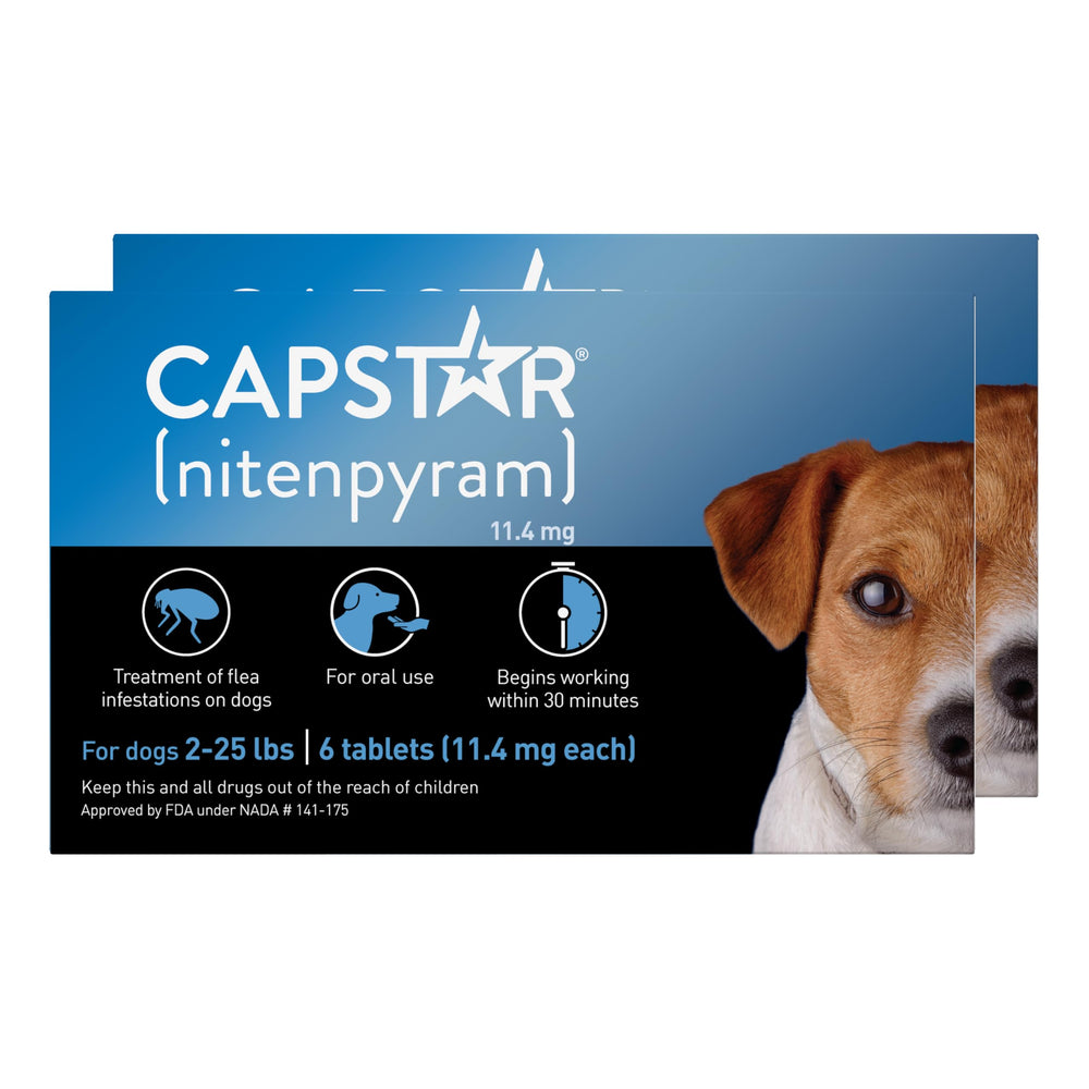 Capstar en empaque para perros, práctico para uso rápido y cómodo.