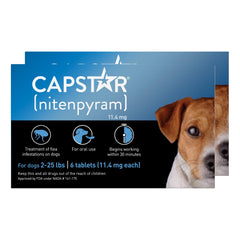 Capstar en empaque para perros, práctico para uso rápido y cómodo.