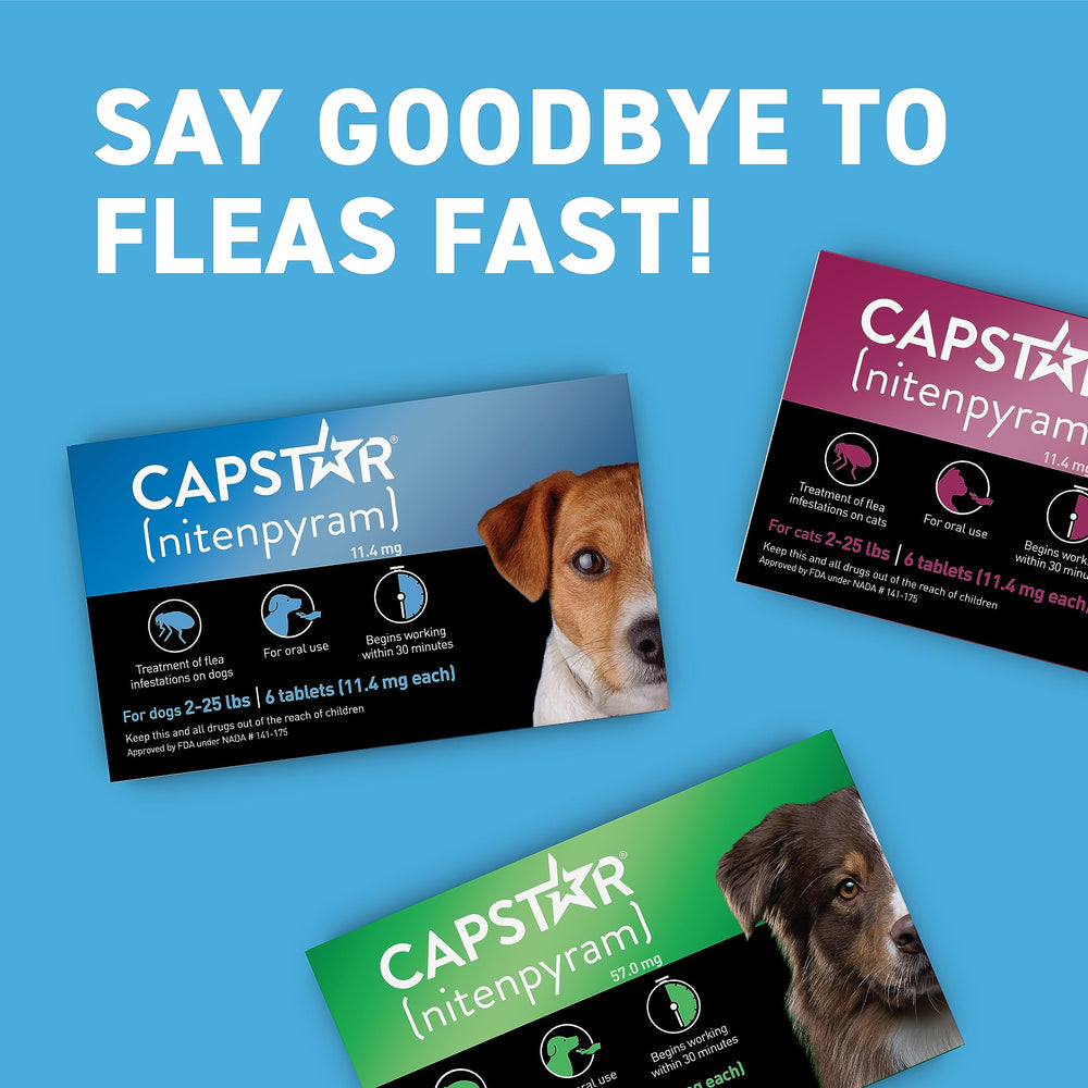 Capstar ayuda a reinfestaciones rápidas con dosis simples si la situación empeora.