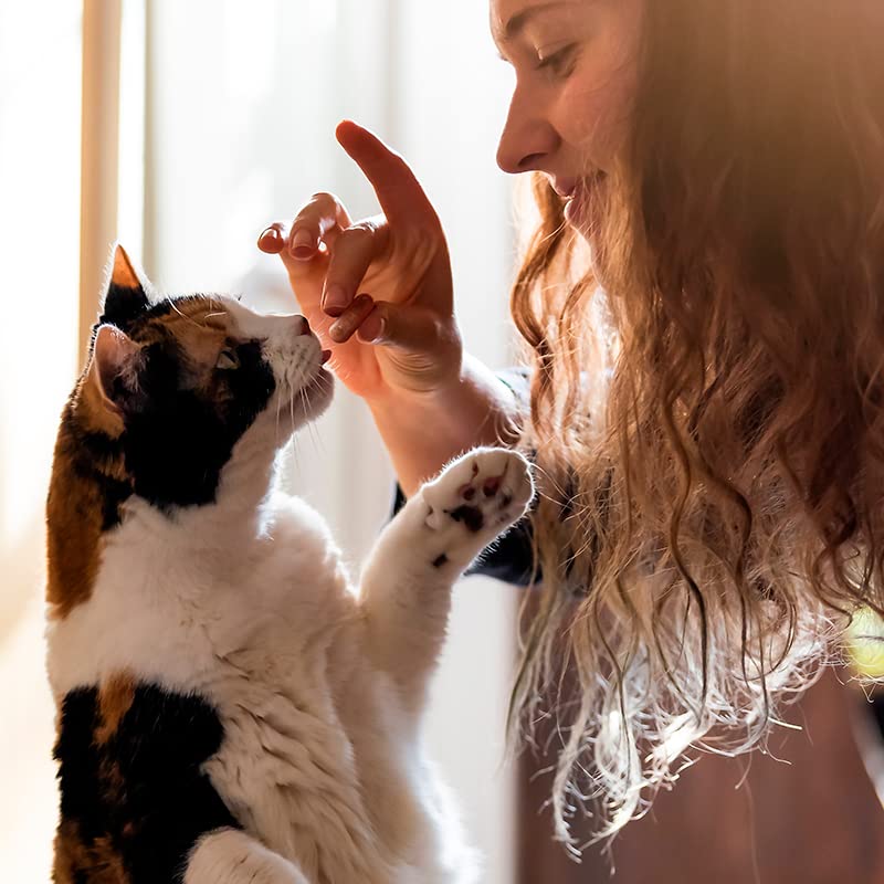 Capsuline PETcaps se pueden combinar dosis diferentes dentro de una sola cápsula.