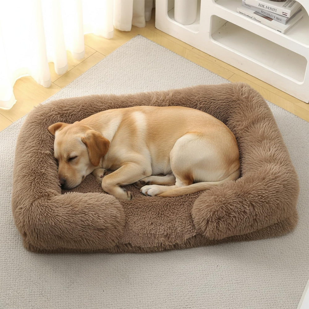 CareCooo cama ortopédica grande en dormitorio, soporte estable para dormir.
