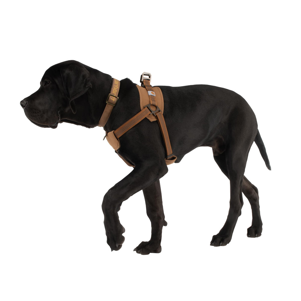 Arnés Carhartt con dos puntos de anclaje, ofrece versatilidad para entrenamiento y paseos.