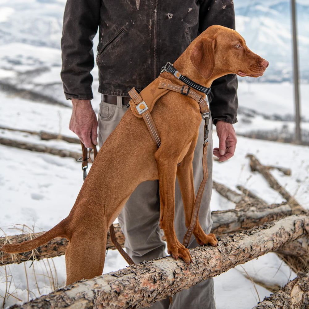 Carhartt arnés talla S con ajuste total para perros pequeños.