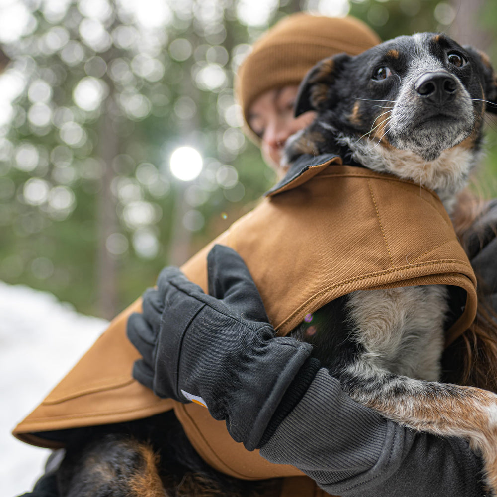 Carhartt chaqueta para perro: guía de tallas para un ajuste perfecto