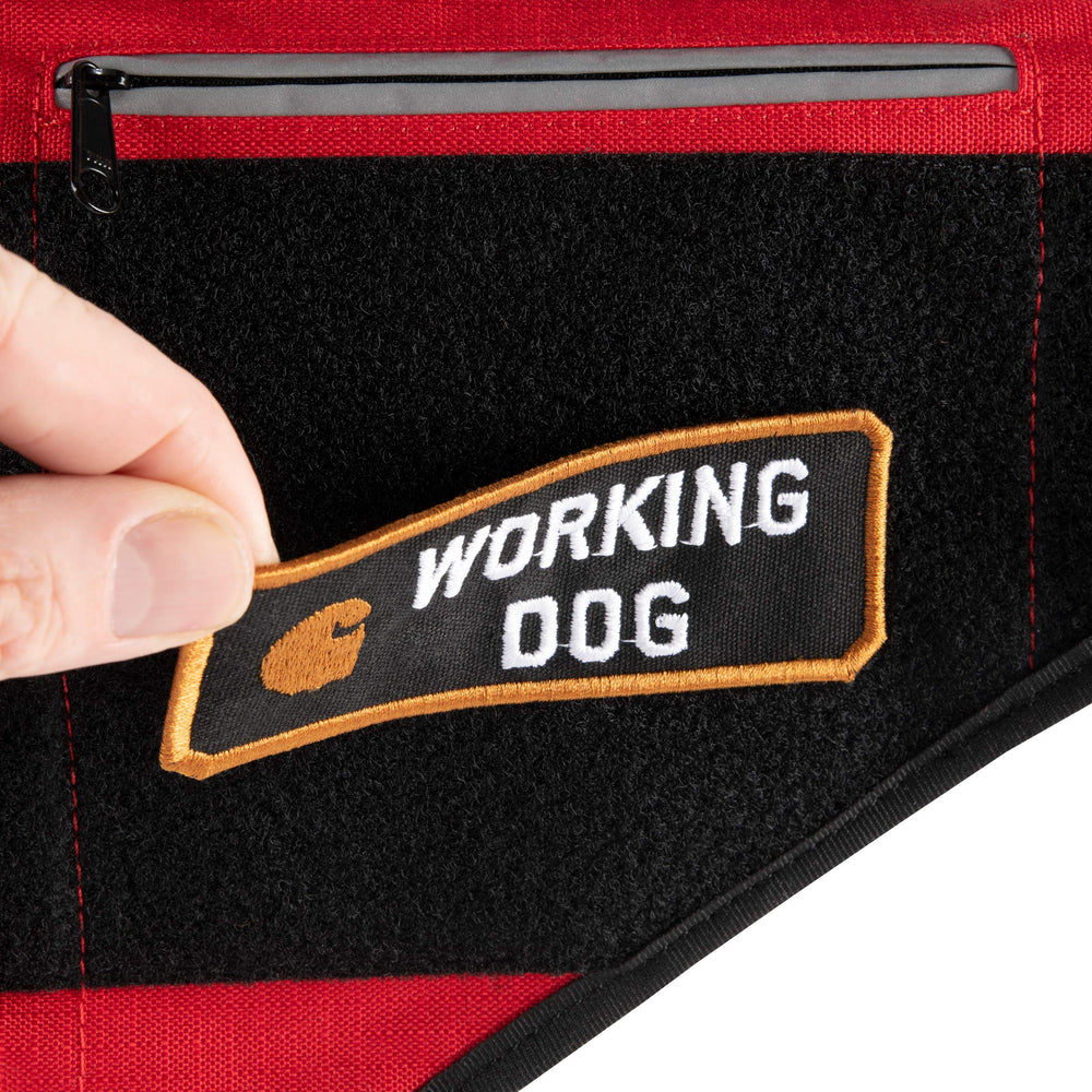 Carhartt Gear P0000396, tira reflectante para visibilidad nocturna.
