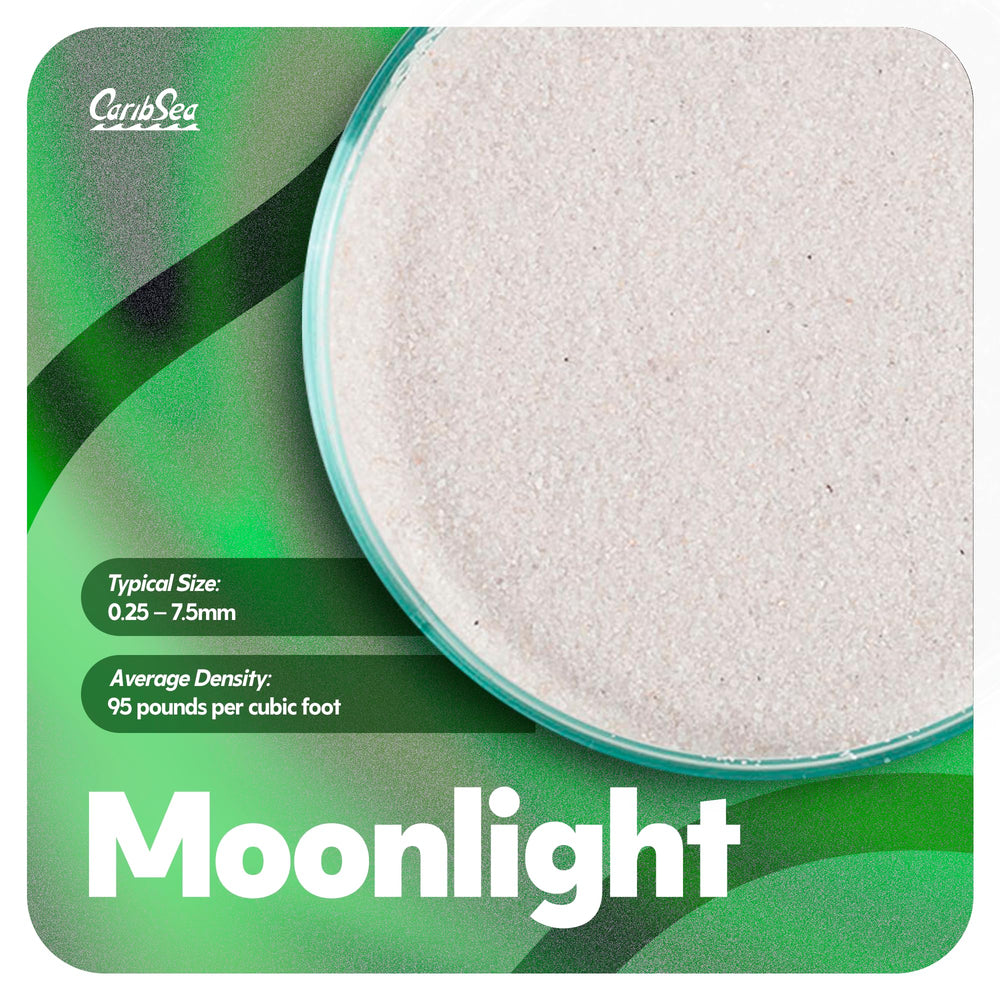 Decoración Moonlight que mejora la estética del acuario.