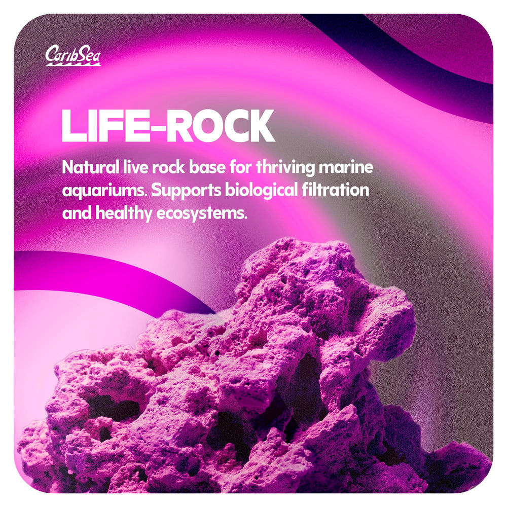 CaribSea LifeRock Dreamscapes: rocas porosas para filtración biológica